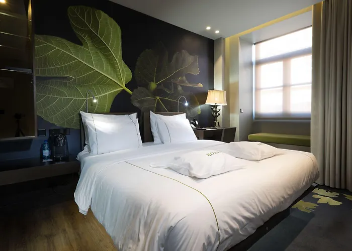 Figueira By The Beautique &